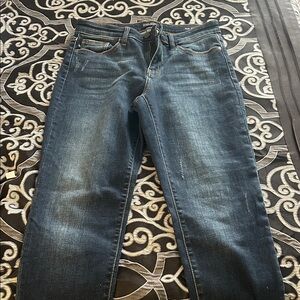 Judy Blue Indigo Skinny Jeans
